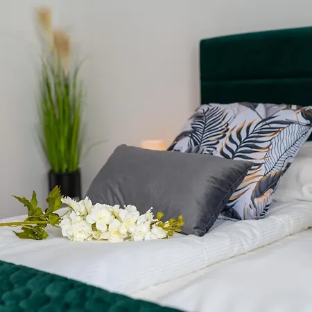 Exclusive Kajdasza By Renters